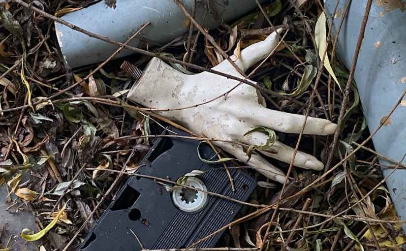 Talk to They/Them, Fresh and Freaky Abigail and&nbsp;Lisa